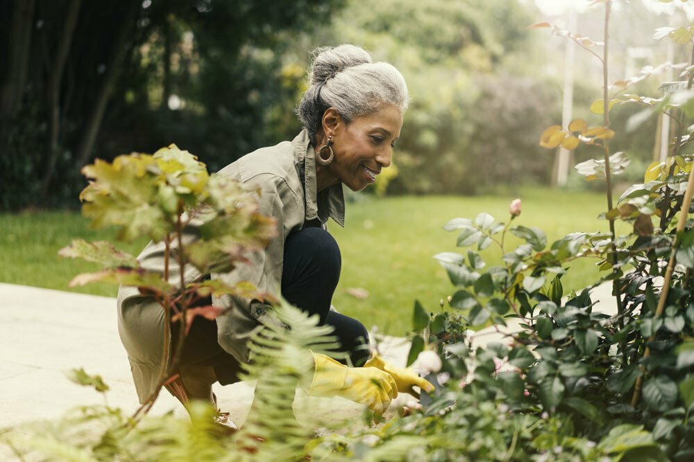 senior woman planting vegetables in her garden in Houston
